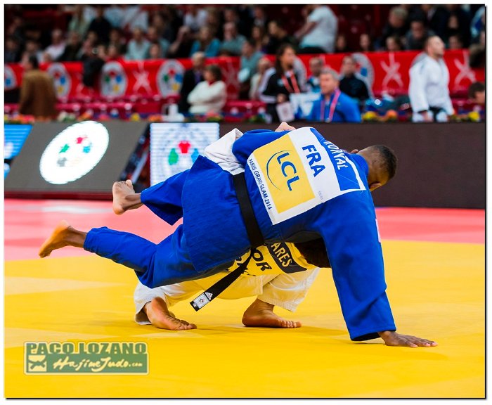 Paris 2014 by P.Lozano cat -66 kg (56)